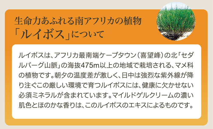 生命力あふれる南アフリカの植物「ルイボス」について ルイボスは、アフリカ最南端ケープタウン（喜望峰）の北「セダルバーグ山脈」の海抜475m以上の地域で栽培される、マメ科の植物です。朝夕の温度差が激しく、日中は強烈な紫外線が降り注ぐこの厳しい環境で育つルイボスには、健康に欠かせない必須ミネラルが含まれています。マイルドゲルクリームの濃い肌色とほのかな香りは、このルイボスのエキスによるものです。