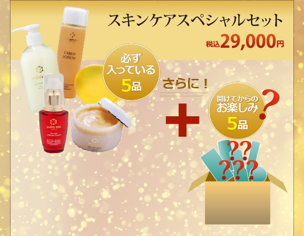 スキンケアスペシャルセット (税込)29000円