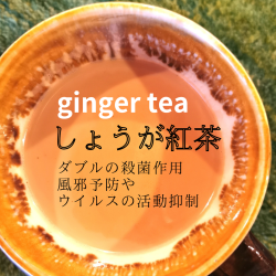 しょうが紅茶