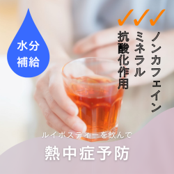 ルイボス　熱中症予防