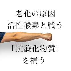 ルイボス