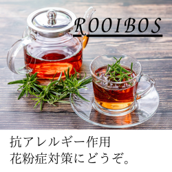 ルイボス