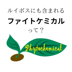 ルイボス