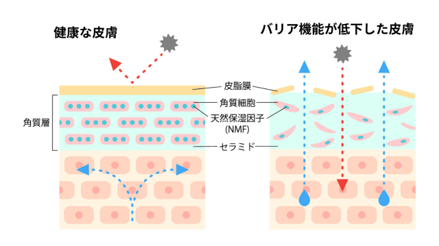 顔・全身用保湿ゲルクリーム] スタアリィアイ マイルドゲルクリーム