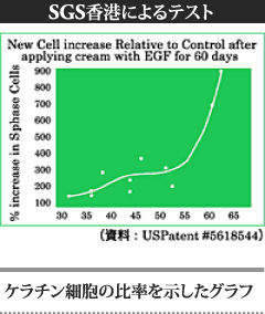 ケラチン細胞の比率を示したグラフ